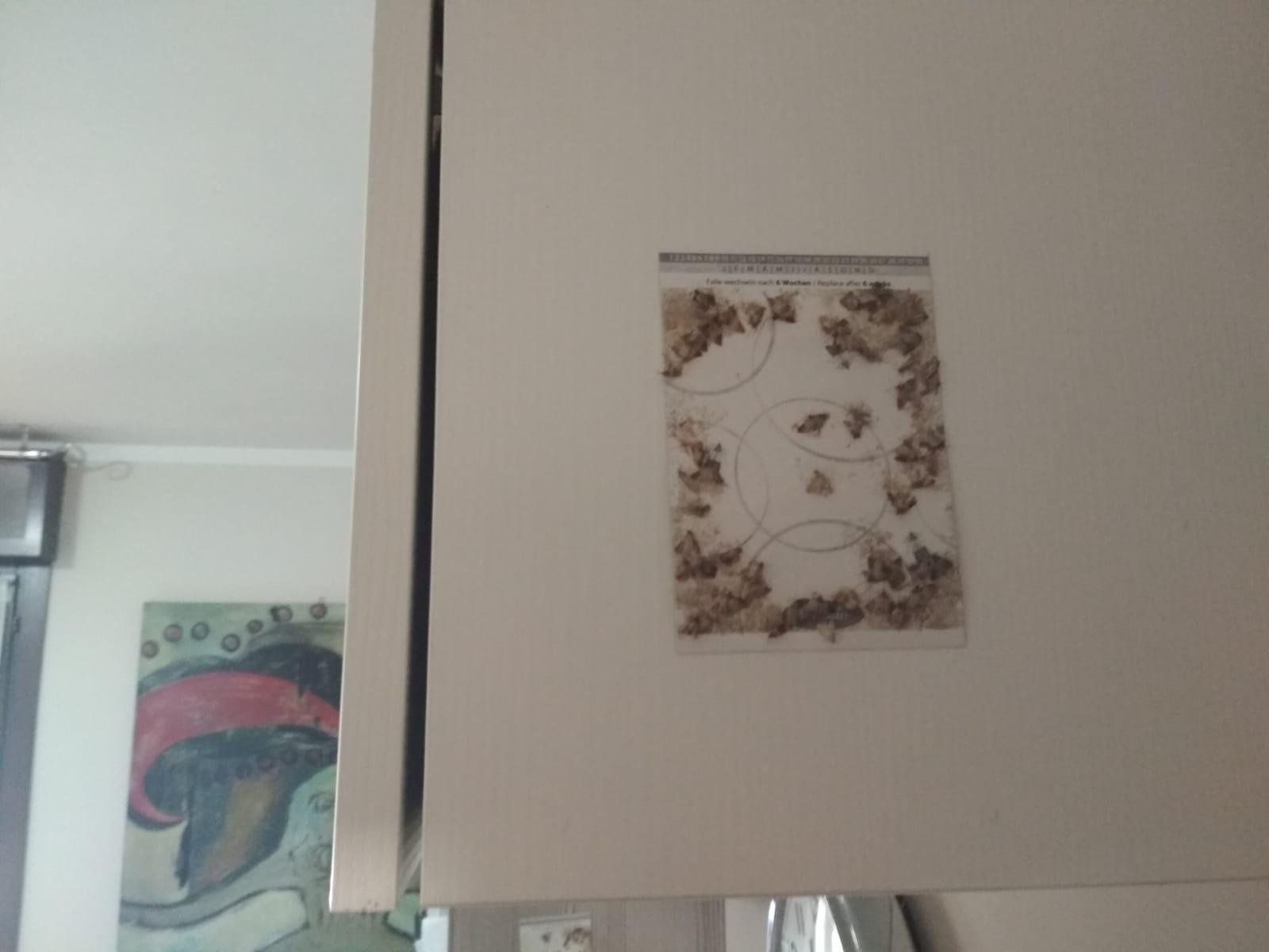 Hält mehrere Wochen