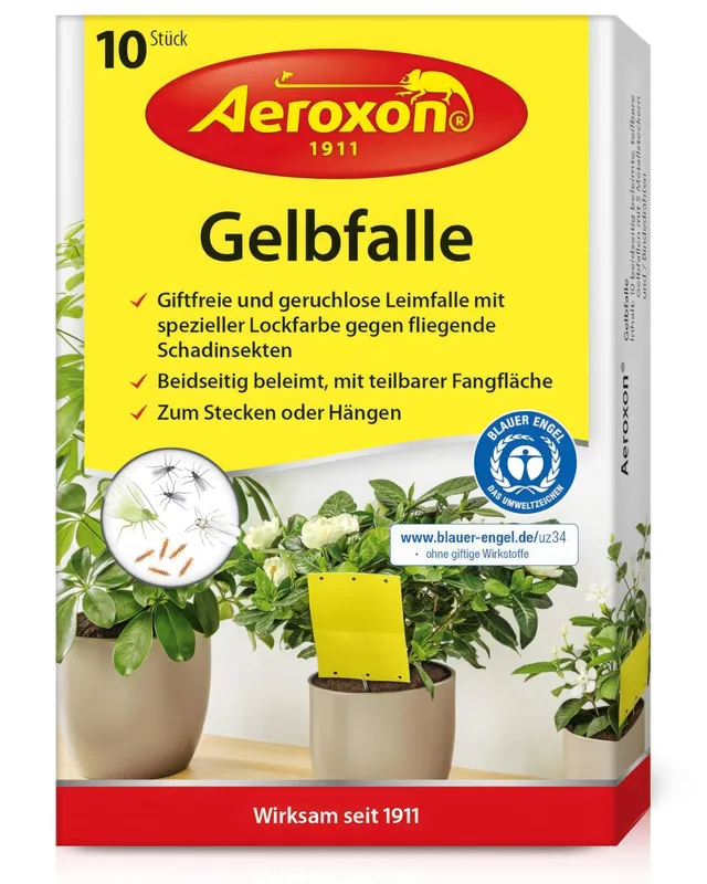 aeroxon-gelbfalle-gelbsticker-10-st-ck-gegen-trauerm-cken image 1