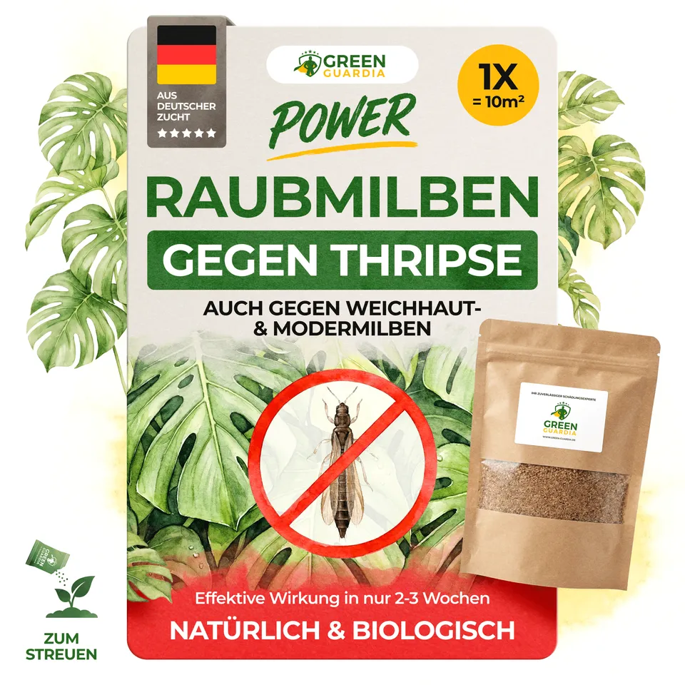 green-guardia-raubmilben-gegen-thripse-1x-t-te-10m image 1
