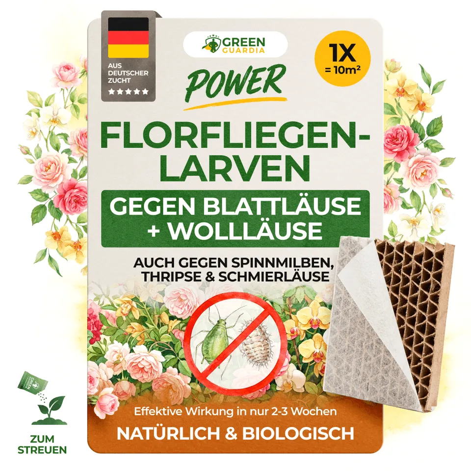 green-guardia-florfliegenlarven-pappwabe-1x-gegen-blattl-use image 1