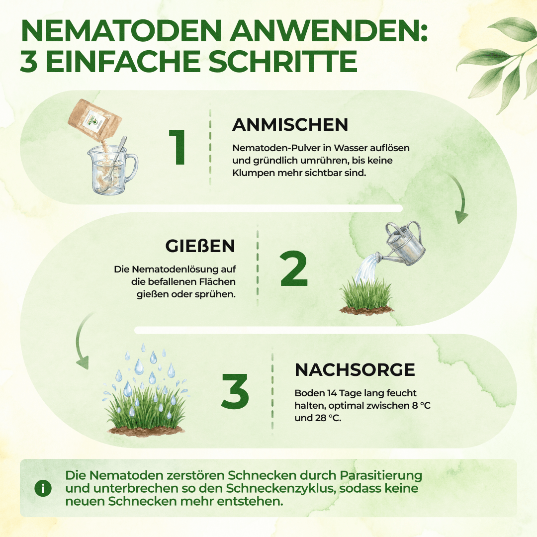 green-guardia-pc-nematoden-gegen-schnecken-5-mio-10m image 3