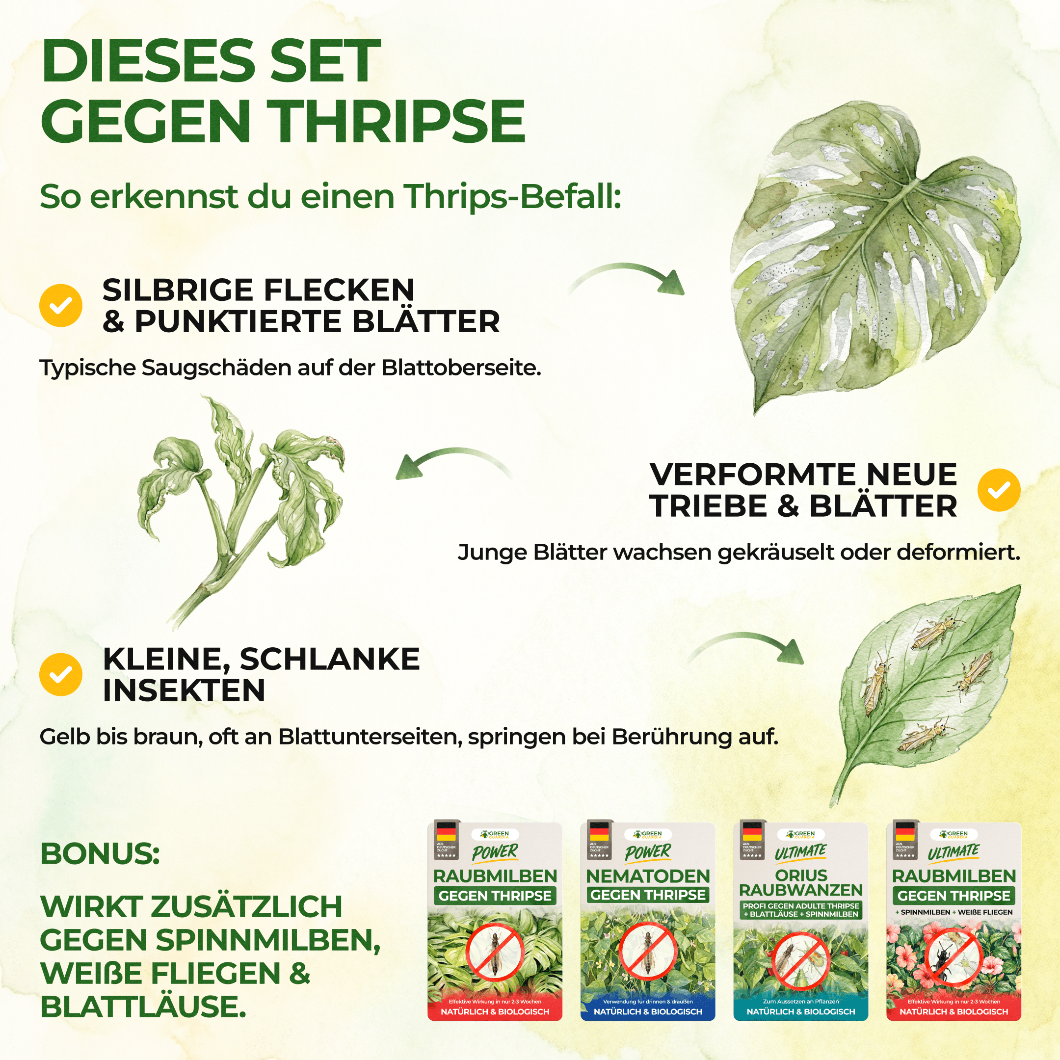 green-guardia-raubmilben-thripse-frei-bundle-n-tzlinge-soforthilfe-set image 2