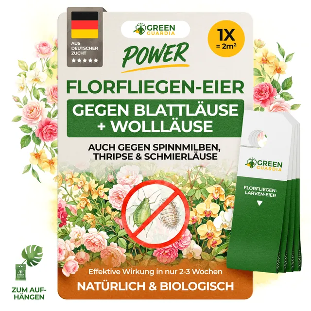 green-guardia-florfliegeneier-n-tzlinge-1-karte-blattl-use image 1