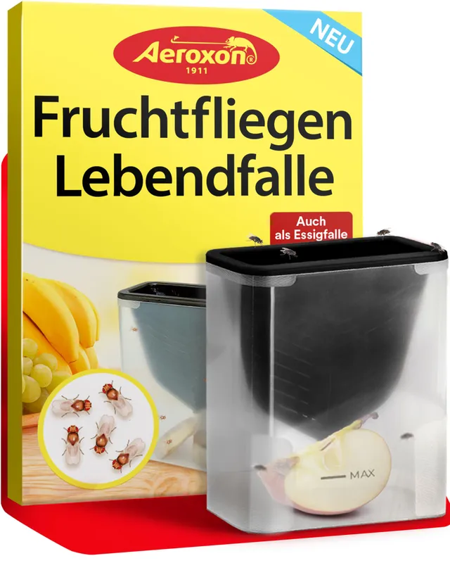 aeroxon-fruchtfliegen-lebendfalle-wiederverwendbar-trichter image 1