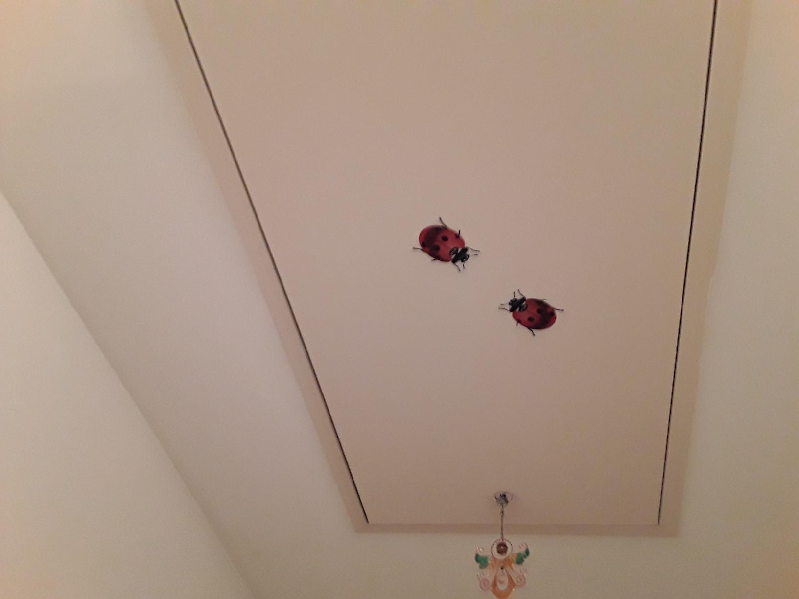 Unauffällig im Wohnzimmer