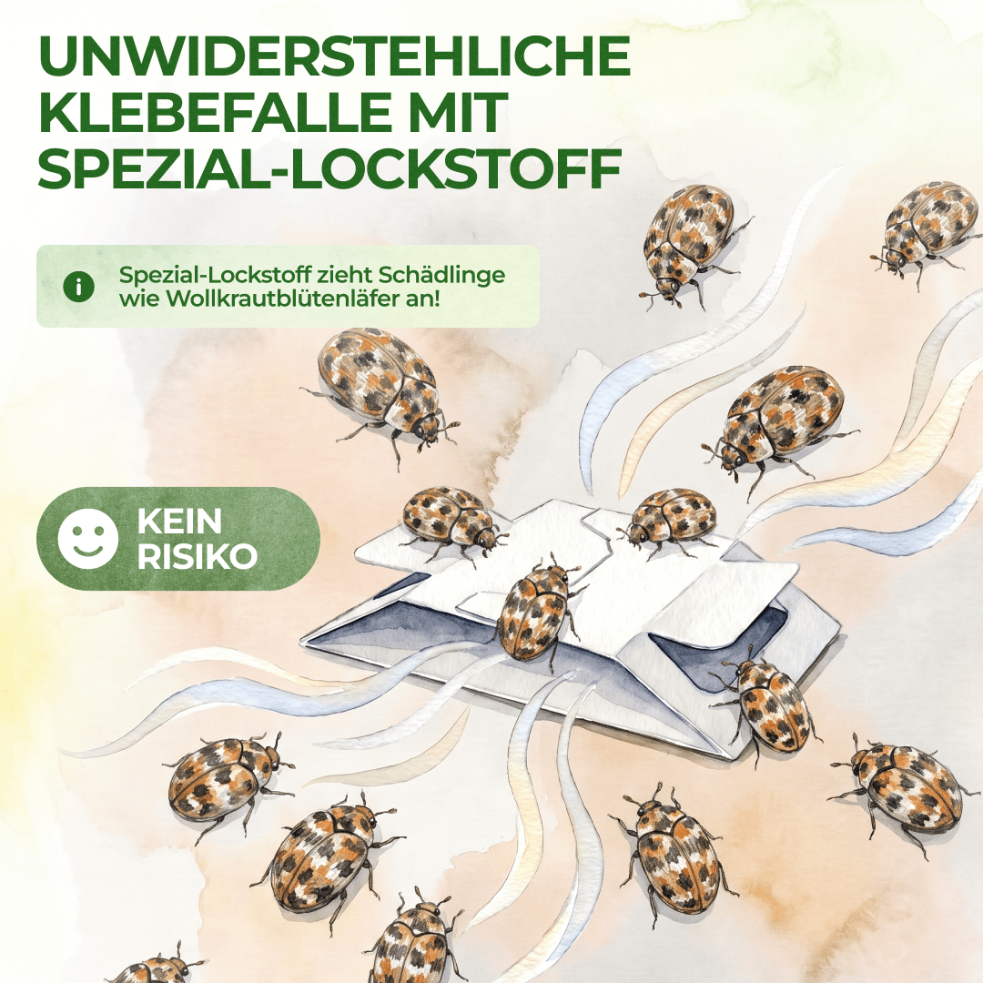 green-guardia-mehrweg-fallen-wollkrautbl-tenk-fer-klebefalle-3x-giftfrei image 6