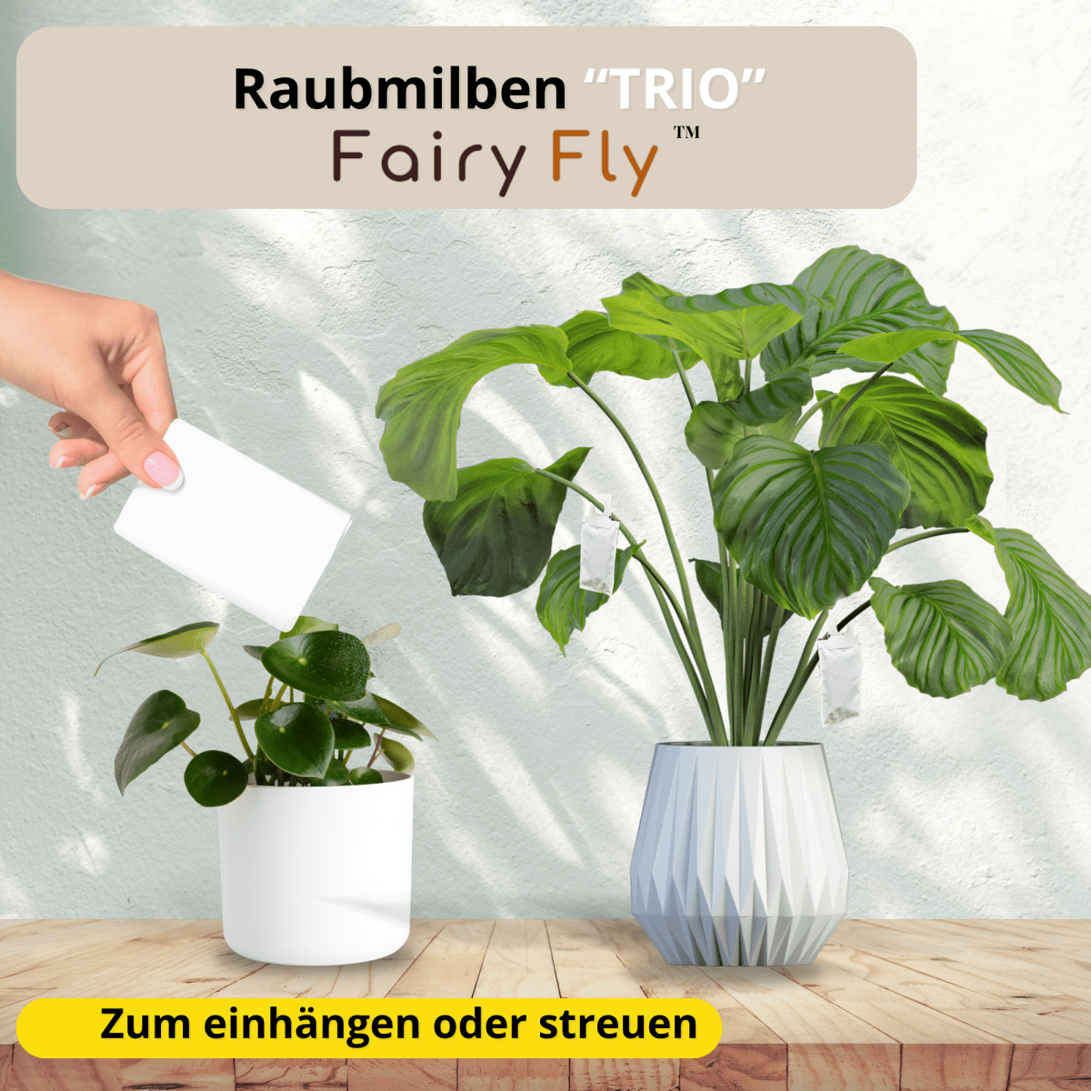 fairyfly-raubmilben-trio-thripse-spinnmilben-3-t-ten image 3