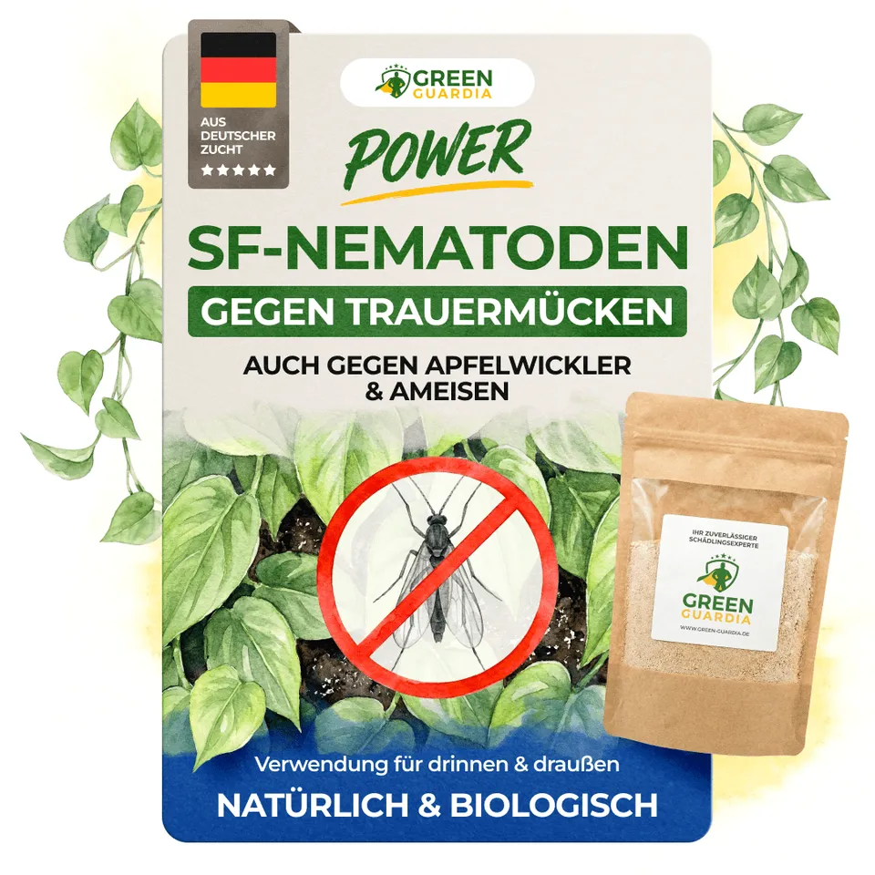 green-guardia-nematoden-sf-gegen-trauerm-cken-n-tzlinge-0-5-mio-f-r-1m image 1