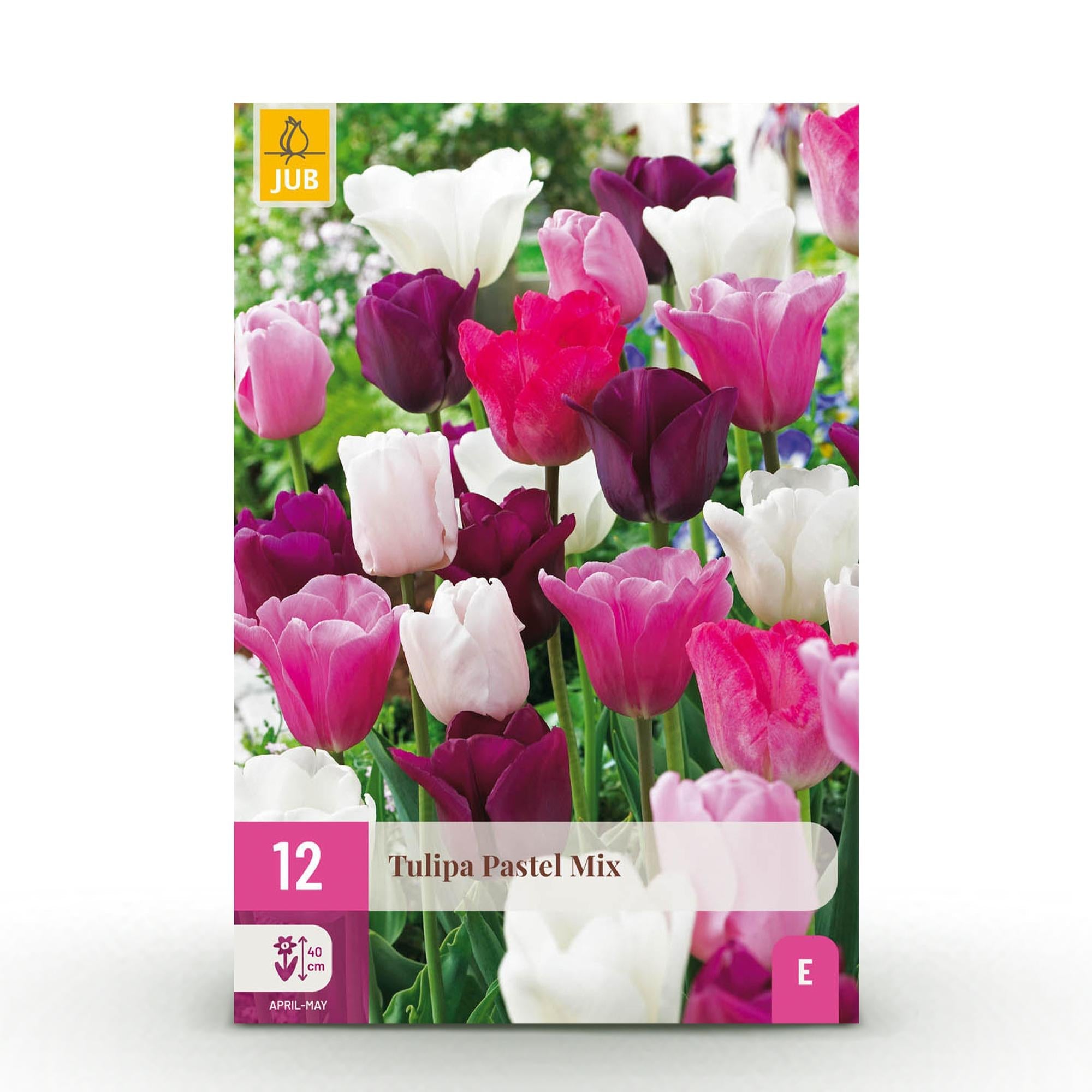 green-guardia-tulpe-pastel-mix-blumenzwiebeln-12-st-ck image 1