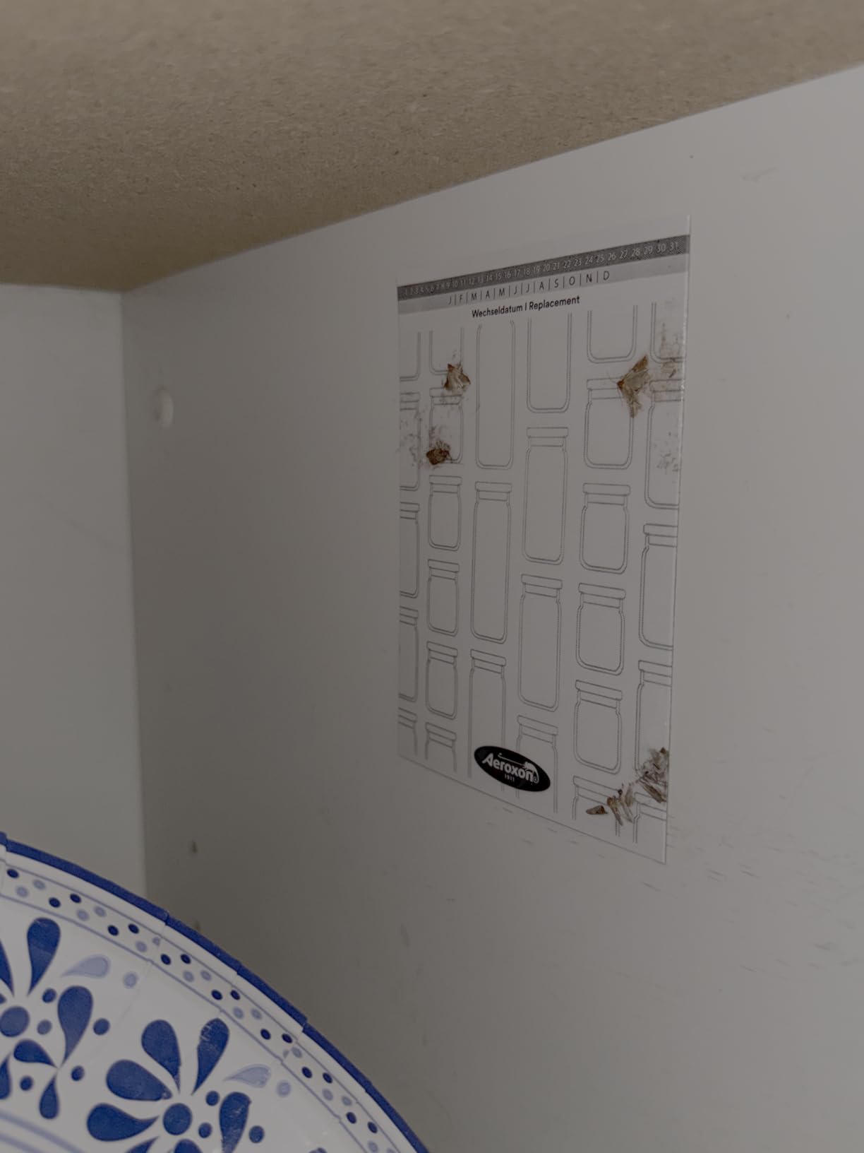 Motten im Schrank gefunden