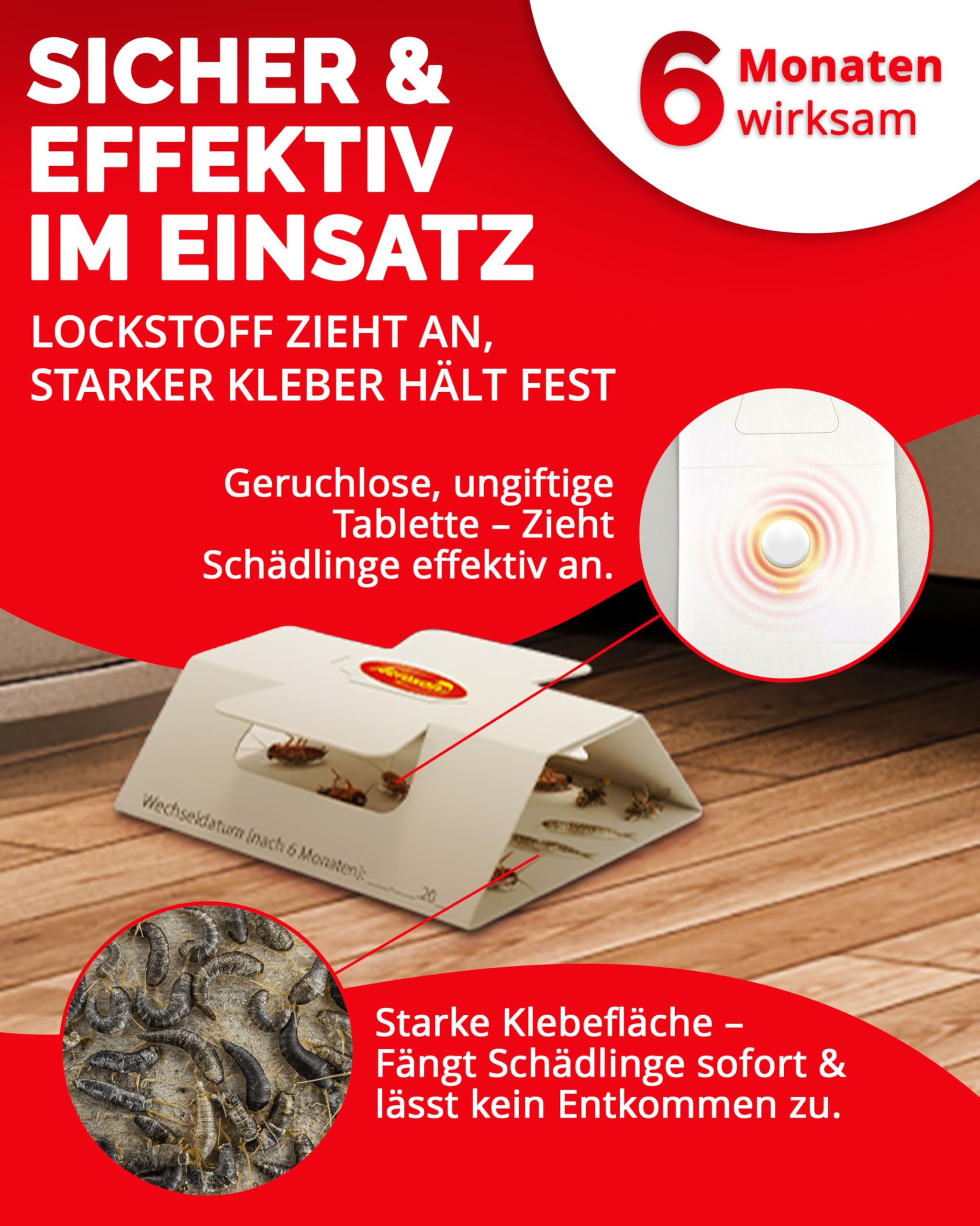 aeroxon-ungeziefer-k-derfalle-klebefalle-8-st-ck-bad-k-che image 3
