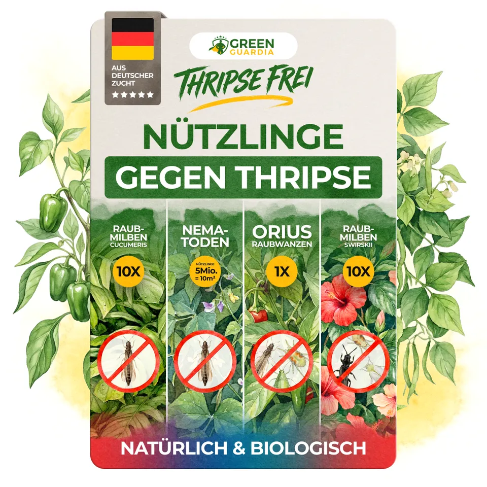 green-guardia-raubmilben-thripse-frei-bundle-n-tzlinge-soforthilfe-set image 1