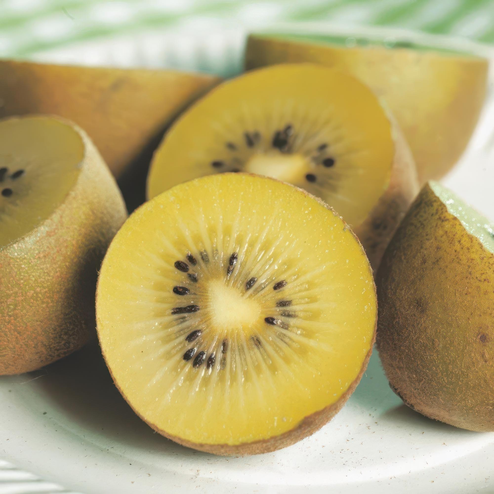 green-guardia-golden-kiwi-obstpflanze-2-pflanzen-gelb-50cm image 4
