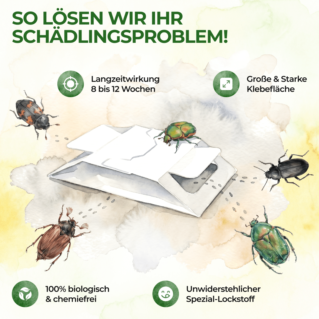 green-guardia-k-fer-falle-klebefalle-3x-giftfrei-lockstoff image 6