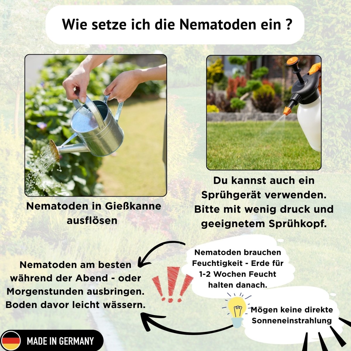 fairyfly-hb-nematoden-gegen-engerlinge-gie-en-5-mio-10m image 4