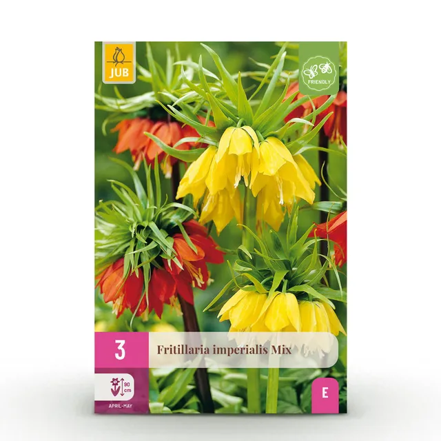 green-guardia-fritillaria-imperialis-blumenzwiebeln-3-st-ck image 1