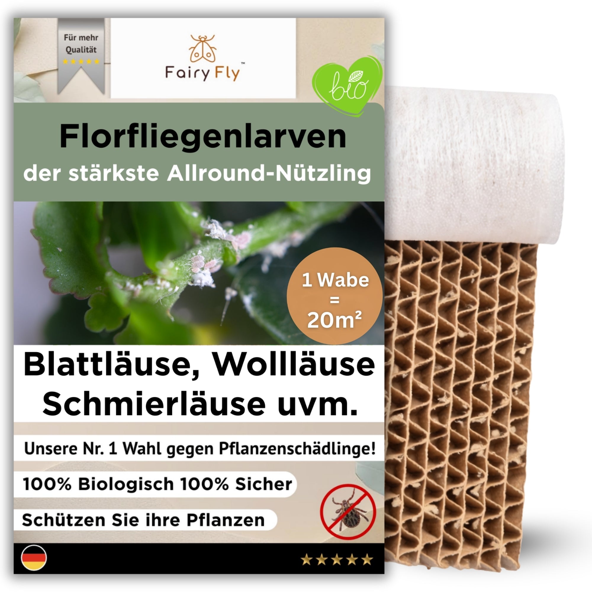 fairyfly-florfliegenlarven-wabe-500-larven-gegen-blattl-use image 1