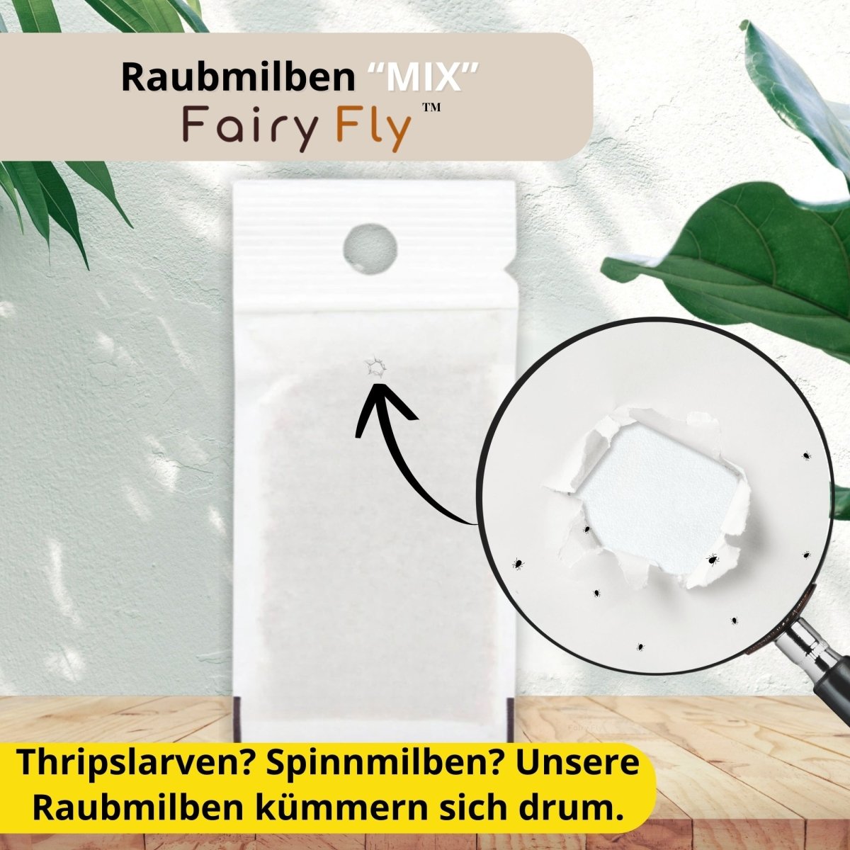 fairyfly-raubmilben-mix-gegen-thripse-spinnmilben-2-t-tchen image 3