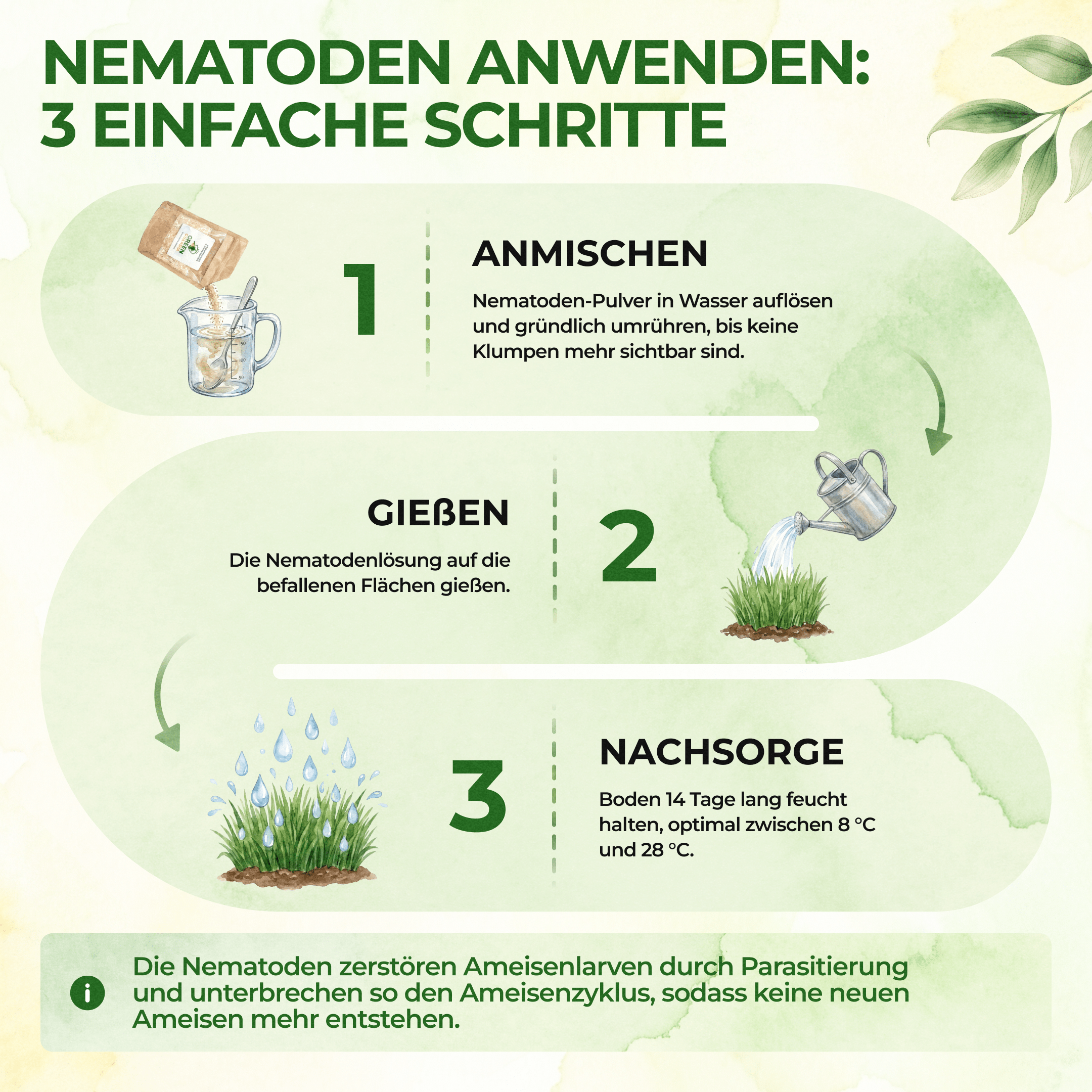 green-guardia-nematoden-gegen-kirschfruchtfliegen-2-mio-4m image 2