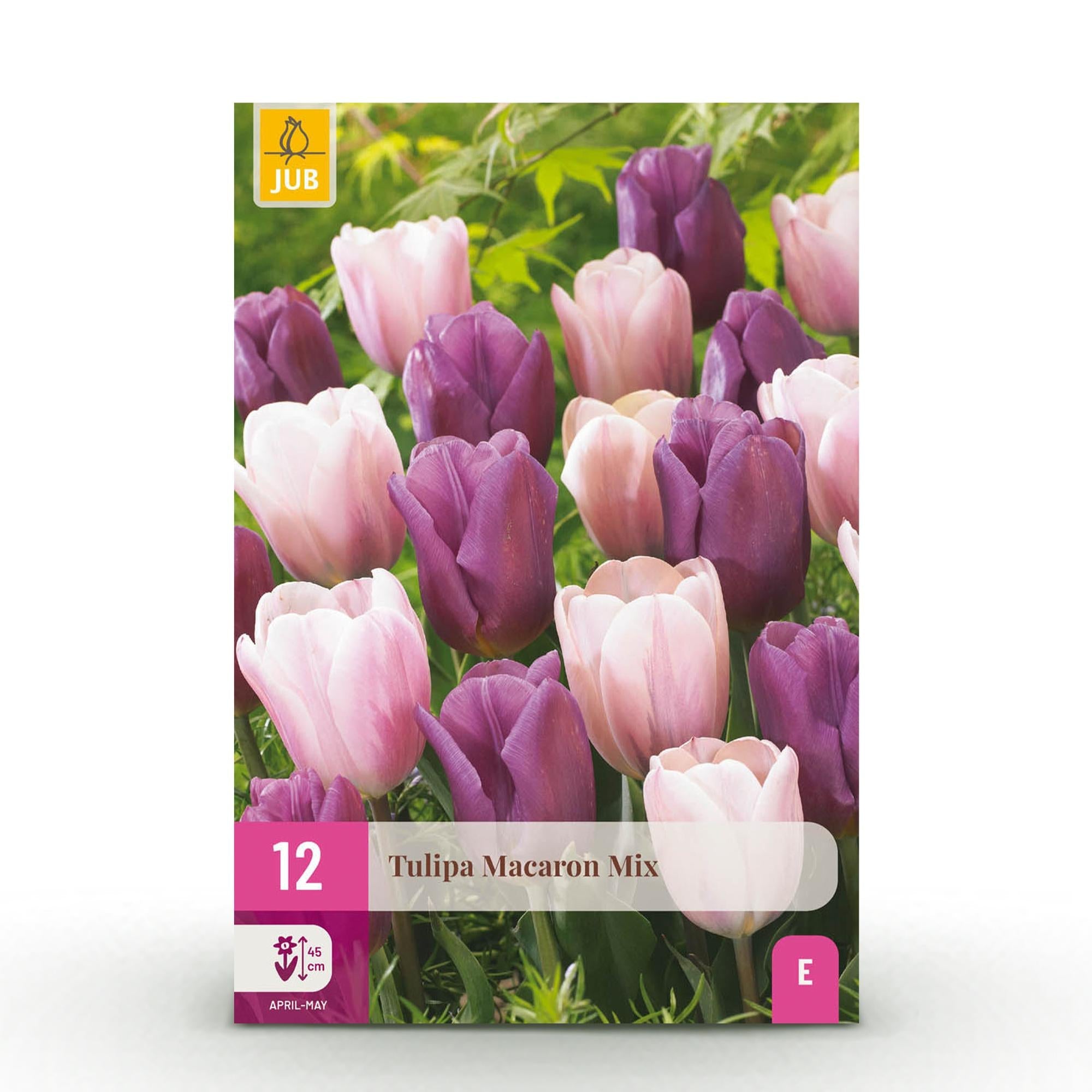 green-guardia-unsere-pflanzen-tulpe-macron-mix-12-zwiebeln image 1