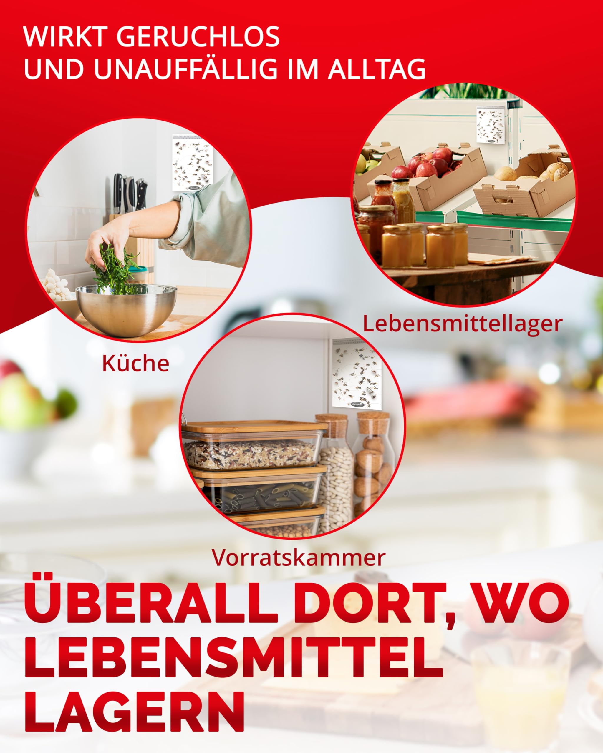 aeroxon-lebensmittelmotten-falle-pheromonfalle-6-st-ck-f-r-k-che image 4