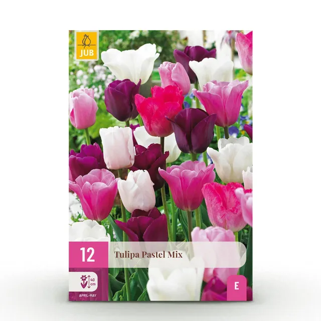 green-guardia-tulpe-pastel-mix-blumenzwiebeln-12-st-ck image 1