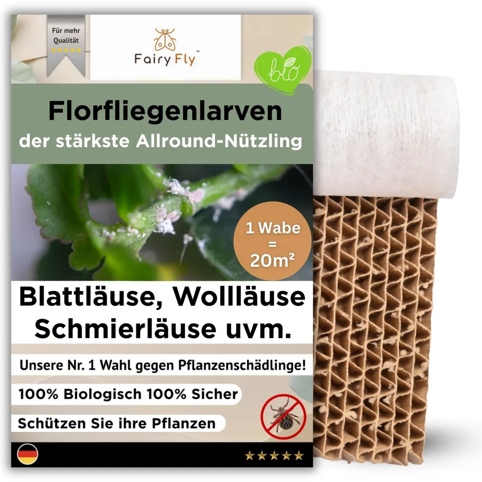 fairyfly-florfliegenlarven-wabe-500-larven-gegen-blattl-use image 1