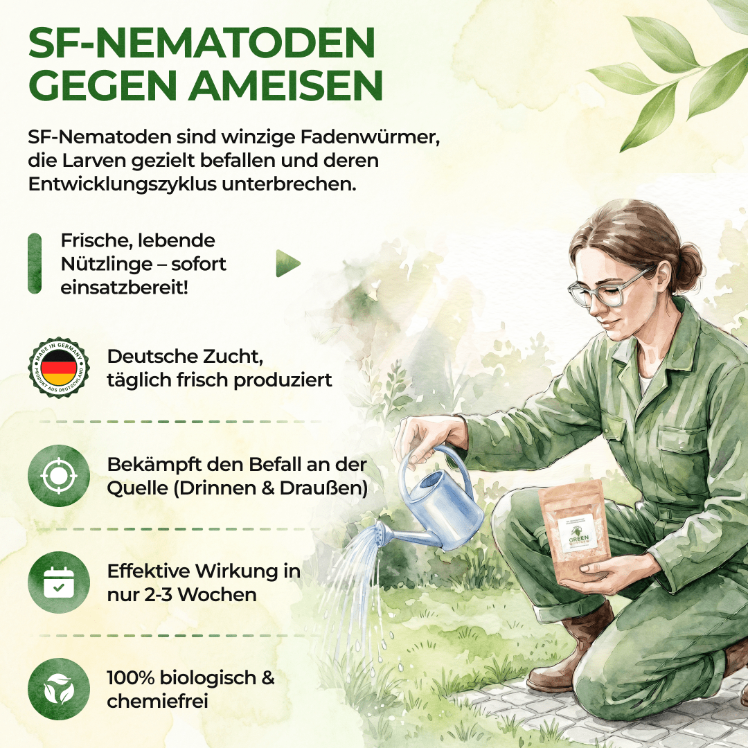 green-guardia-sf-nematoden-gegen-ameisen-0-5-mio image 4