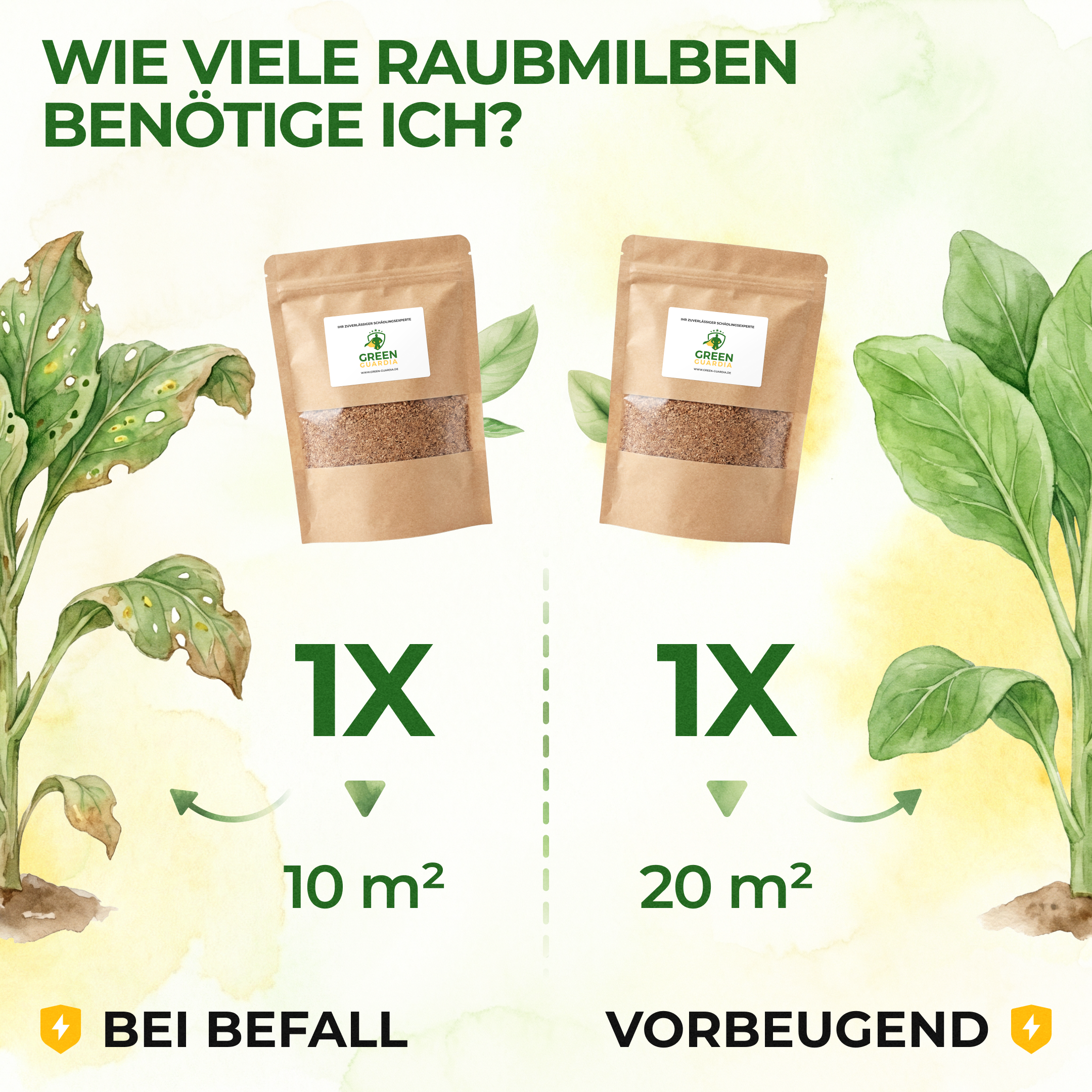 green-guardia-raubmilben-gegen-spinnmilben-1-t-te-10m image 3