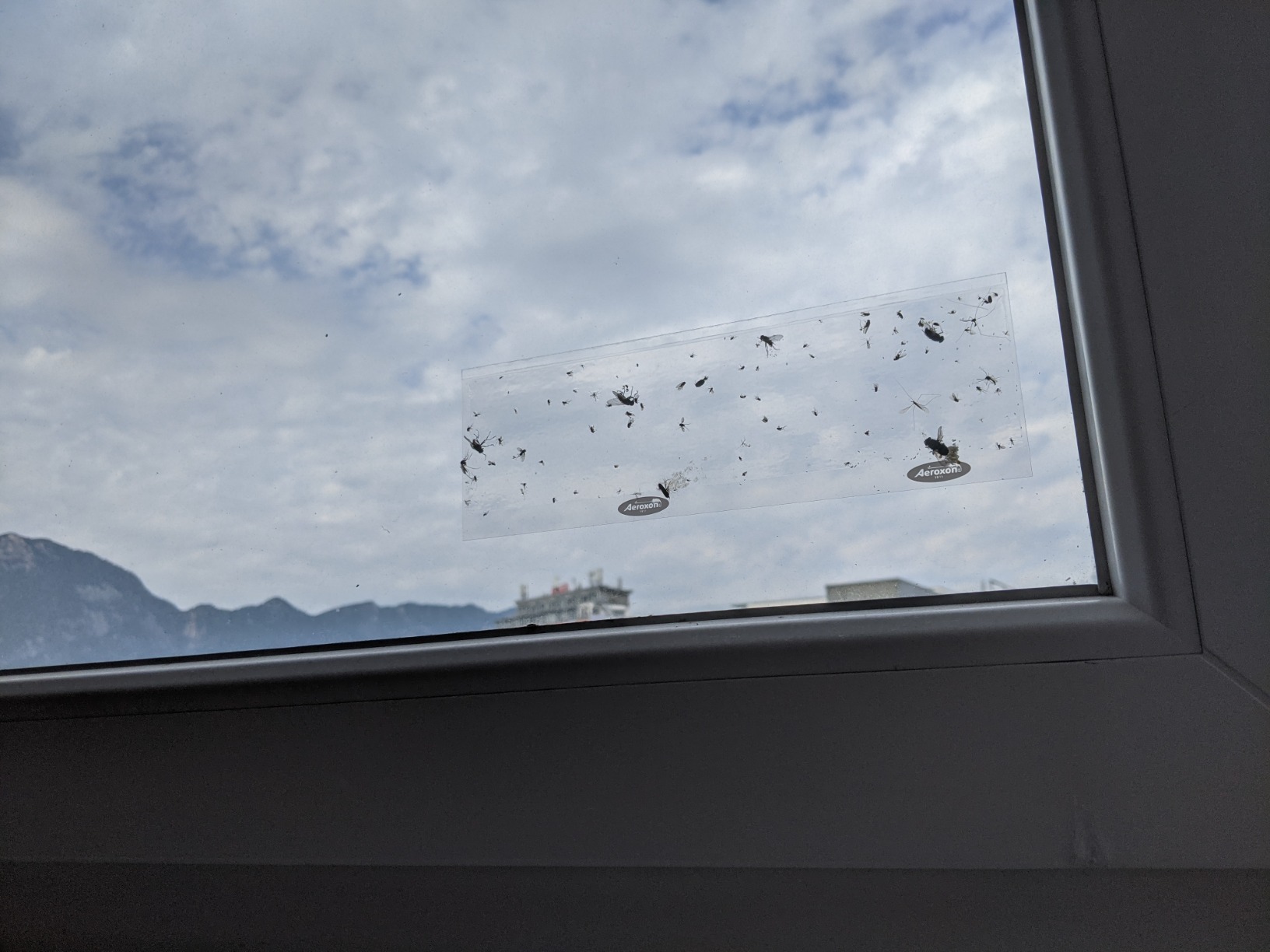 Reicht für mehrere Fenster
