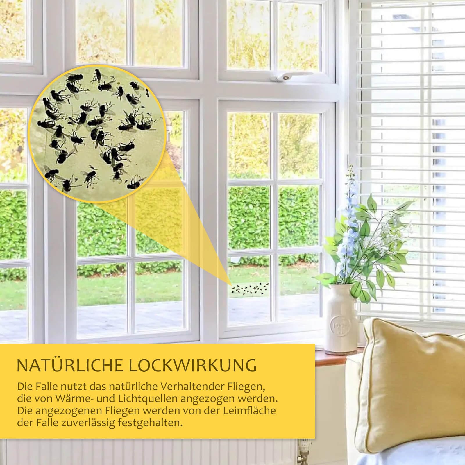 blooven-fenster-fliegenfalle-transparent-40-st-ck-giftfrei image 2