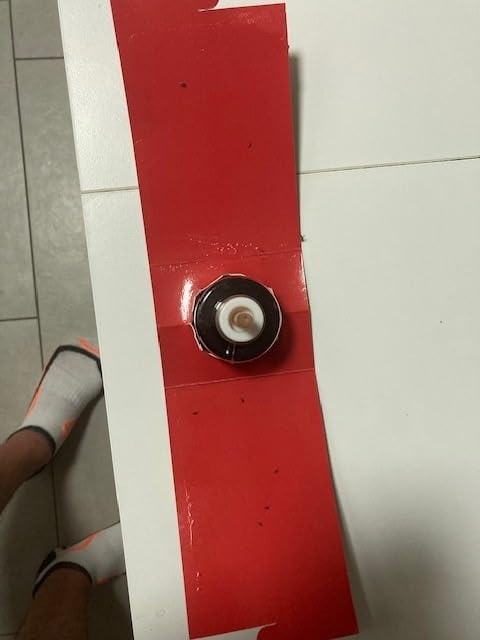 Sauber in der Handhabung