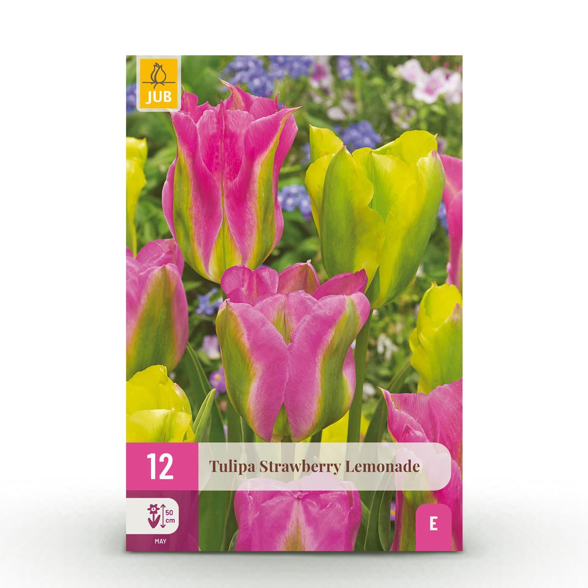 green-guardia-unsere-pflanzen-tulpe-strawberry-lemonade-zwiebeln-12-st-ck image 1