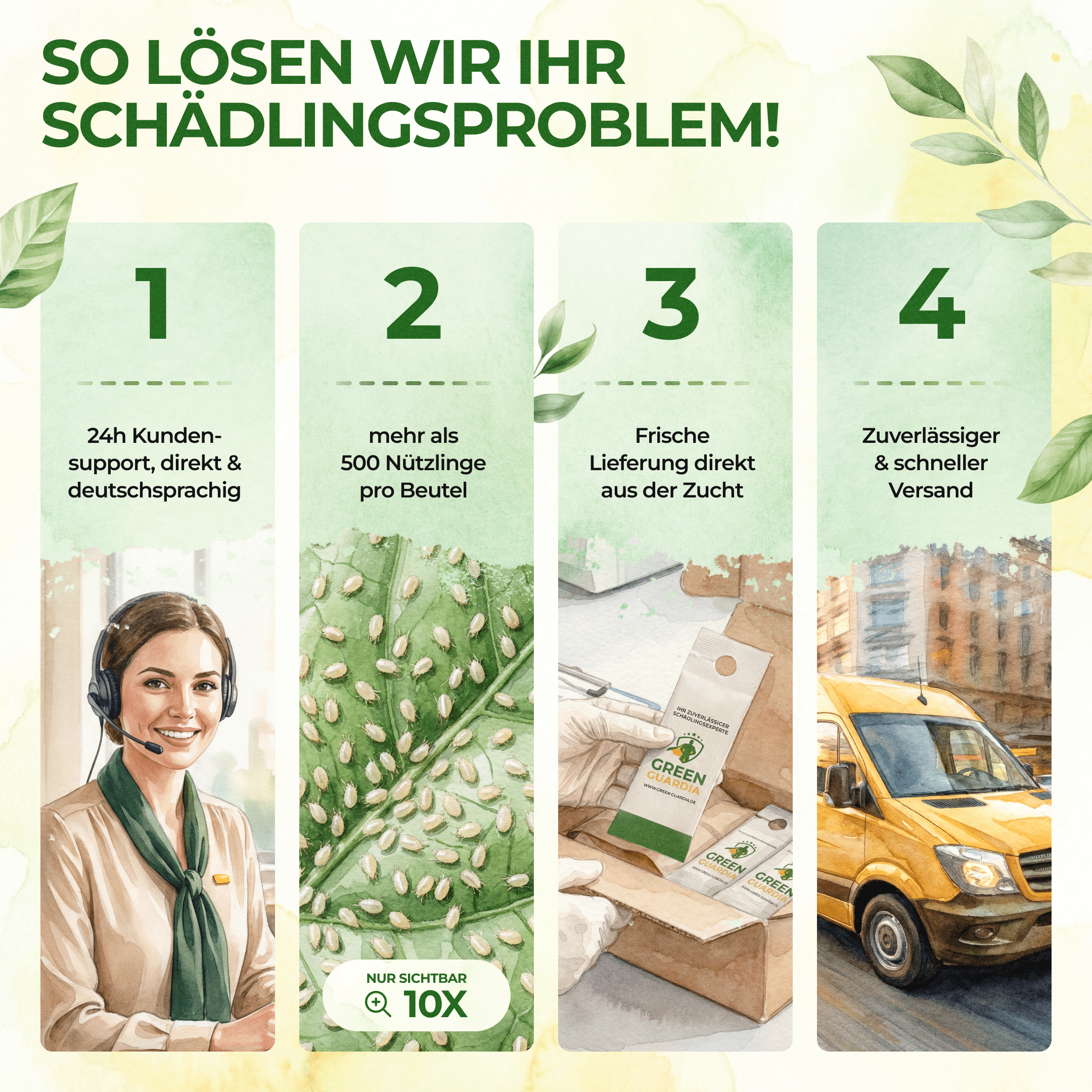 green-guardia-raubmilben-gegen-spinnmilben-1-t-te-n-tzlinge image 8