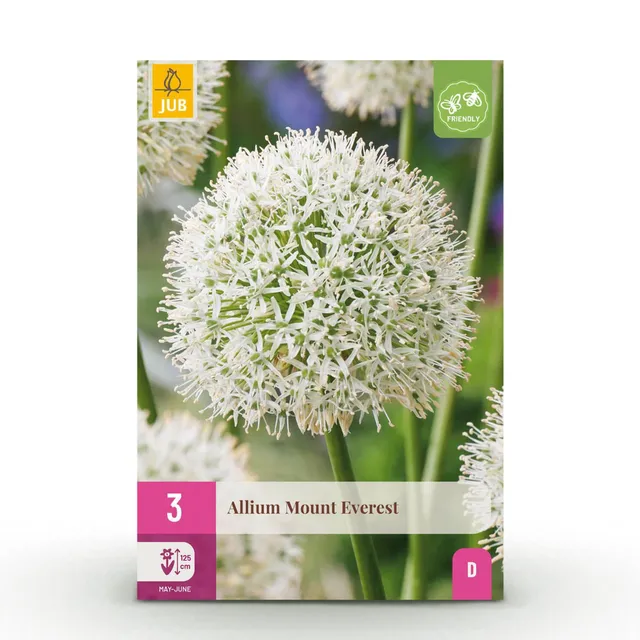 green-guardia-unsere-pflanzen-allium-mount-everest-blumenzwiebeln-wei-3-st image 1