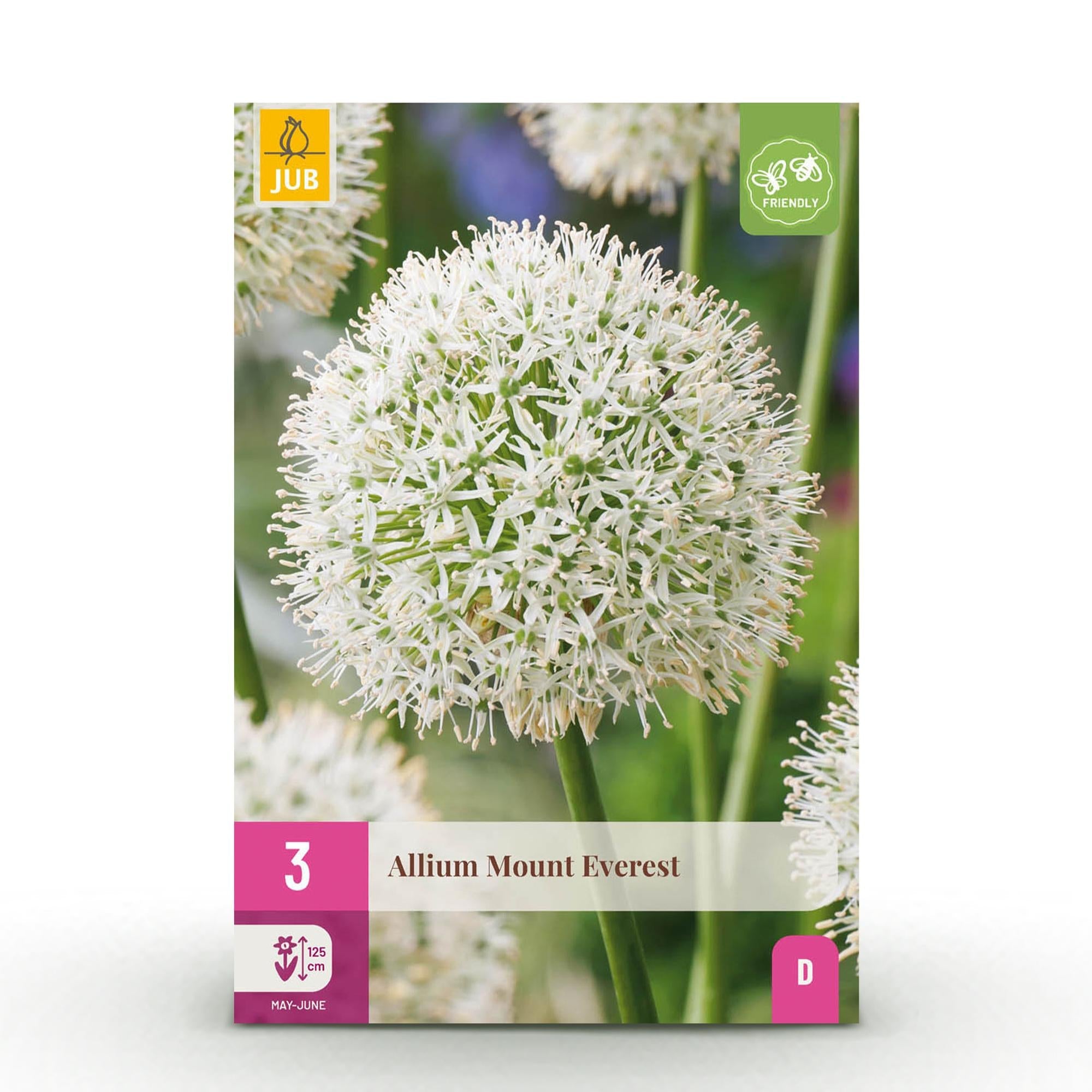 green-guardia-unsere-pflanzen-allium-mount-everest-blumenzwiebeln-wei-3-st image 1