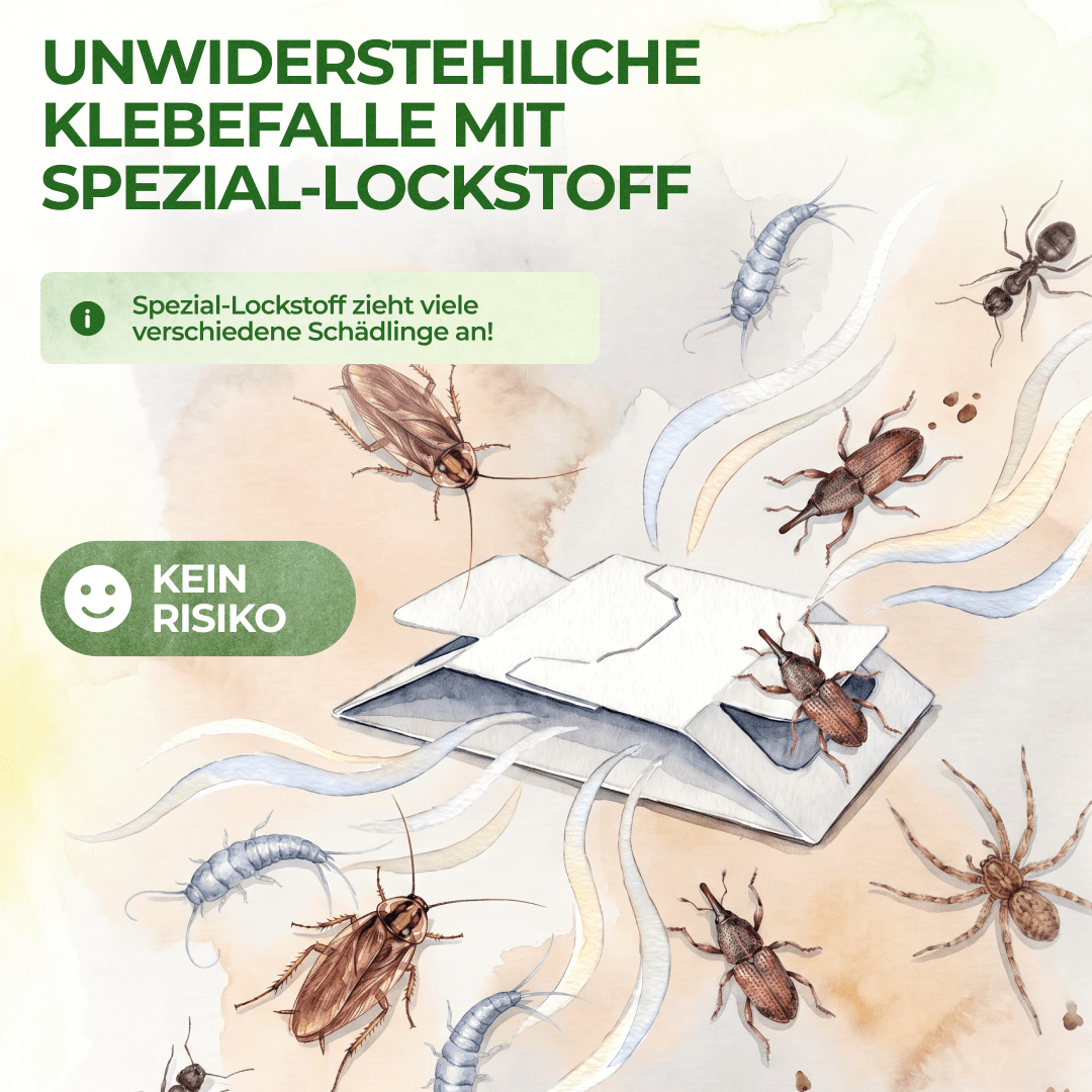 green-guardia-mehrweg-insektenfalle-klebefalle-3-fallen image 5