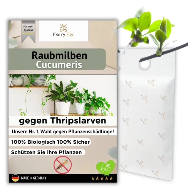 fairyfly-cucumeris-raubmilben-gegen-thripse-1-t-tchen image 1