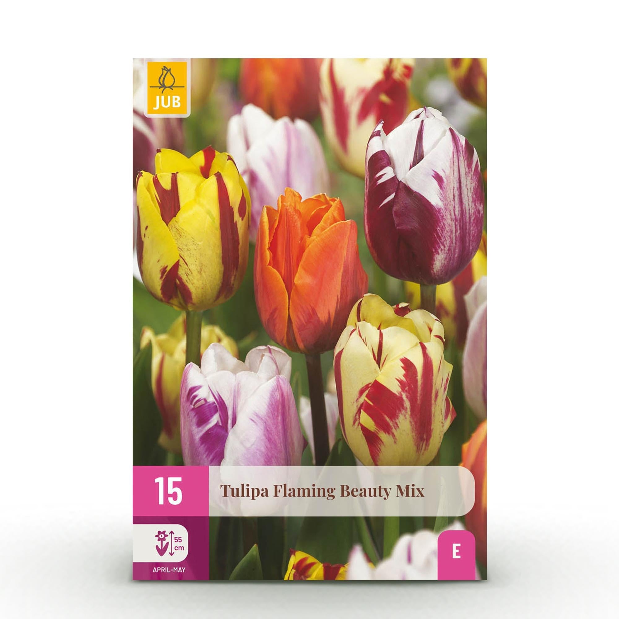 green-guardia-unsere-pflanzen-flaming-beauty-mix-tulpenzwiebeln-15-st-ck image 1