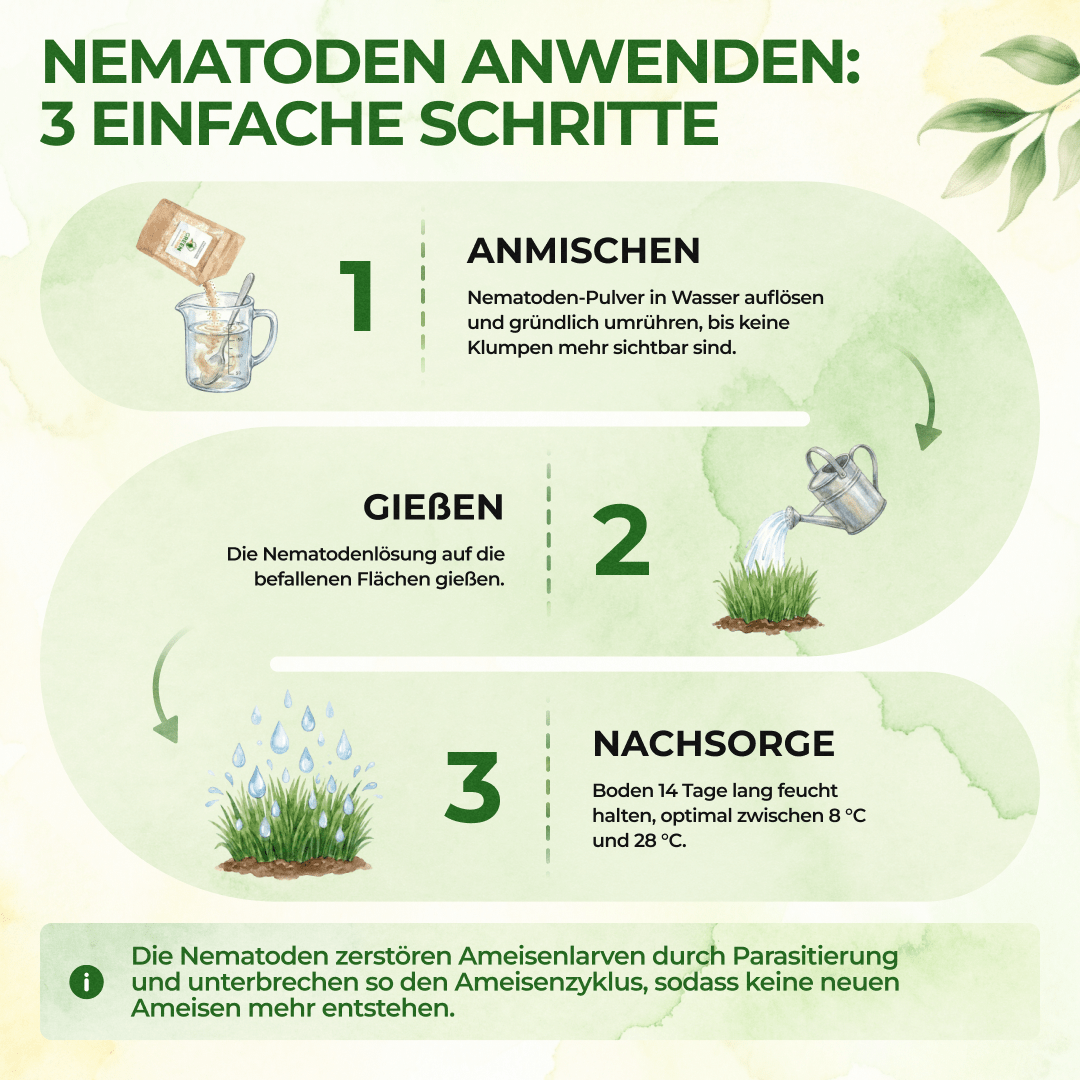 green-guardia-nematoden-gegen-kohlfliegen-0-5-mio-f-r-1m image 2