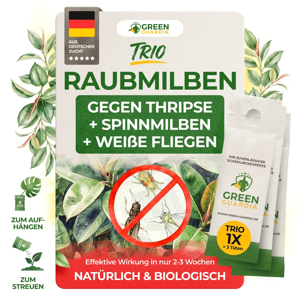 green-guardia-raubmilben-trio-n-tzlinge-1-trio-3-t-ten-thripse image 1