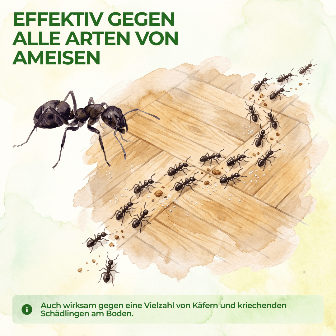 green-guardia-mehrweg-fallen-ameisen-falle-3x-giftfrei image 2