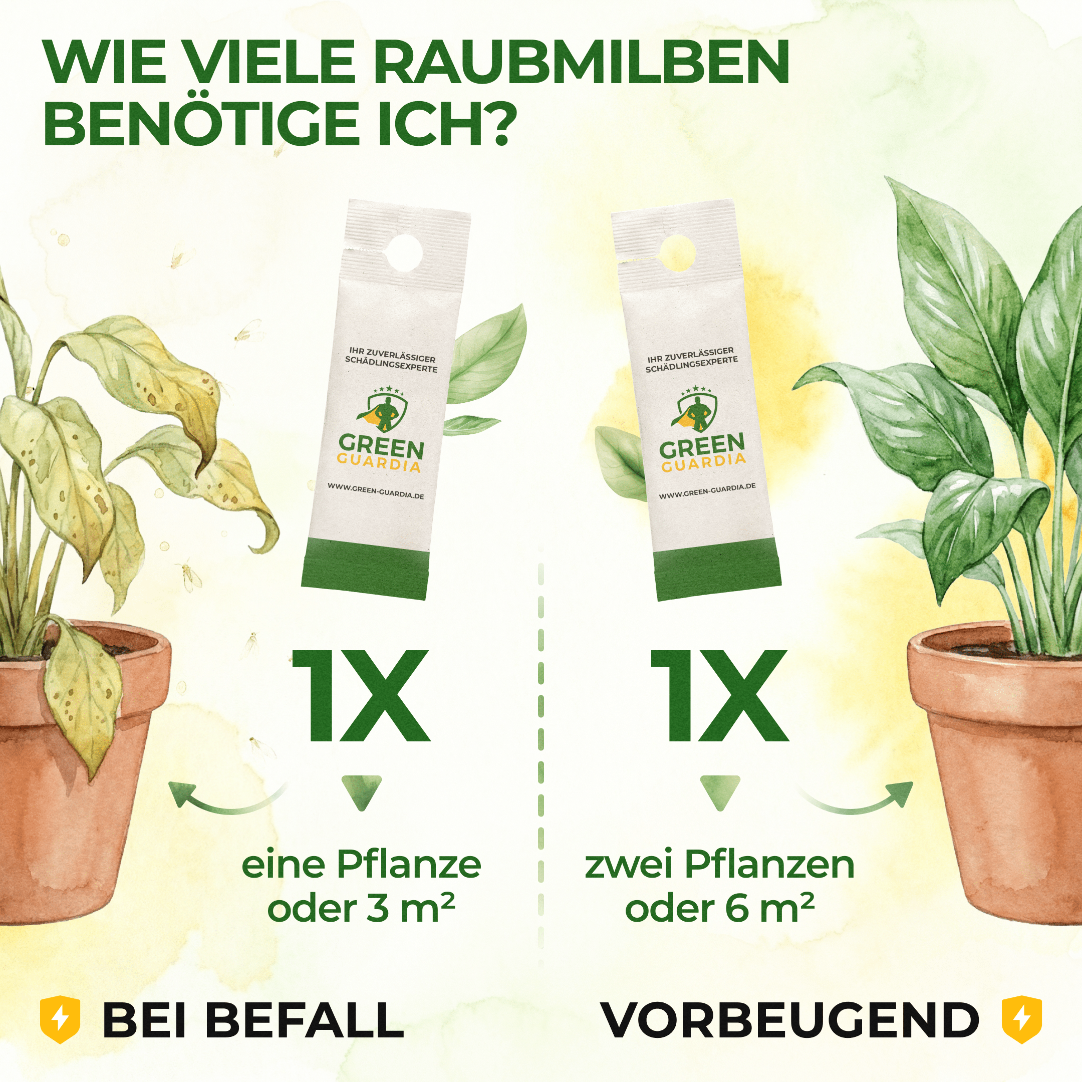 green-guardia-raubmilben-gegen-thripse-n-tzlinge-1-t-te image 3