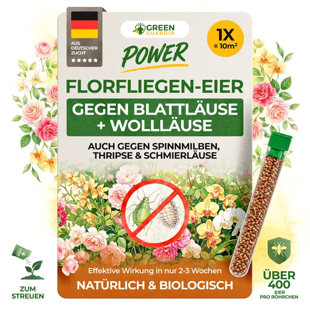 green-guardia-florfliegeneier-blattl-use-1-r-hrchen-10m image 1