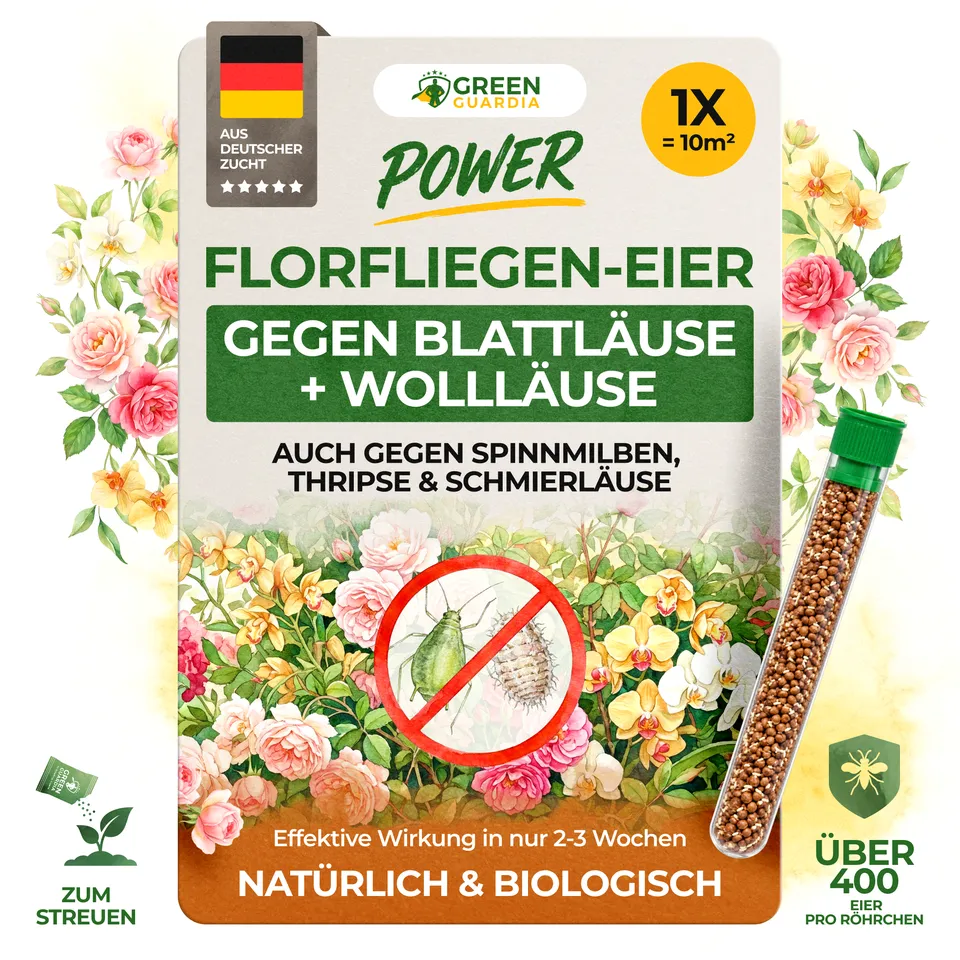 green-guardia-florfliegeneier-blattl-use-1-r-hrchen-10m image 1
