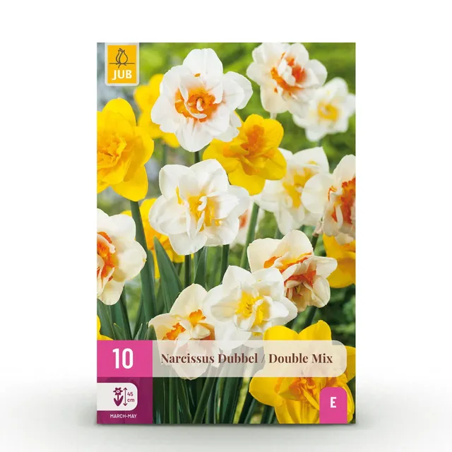 green-guardia-unsere-pflanzen-narcissus-double-mix-blumenzwiebeln-10-st-ck image 1