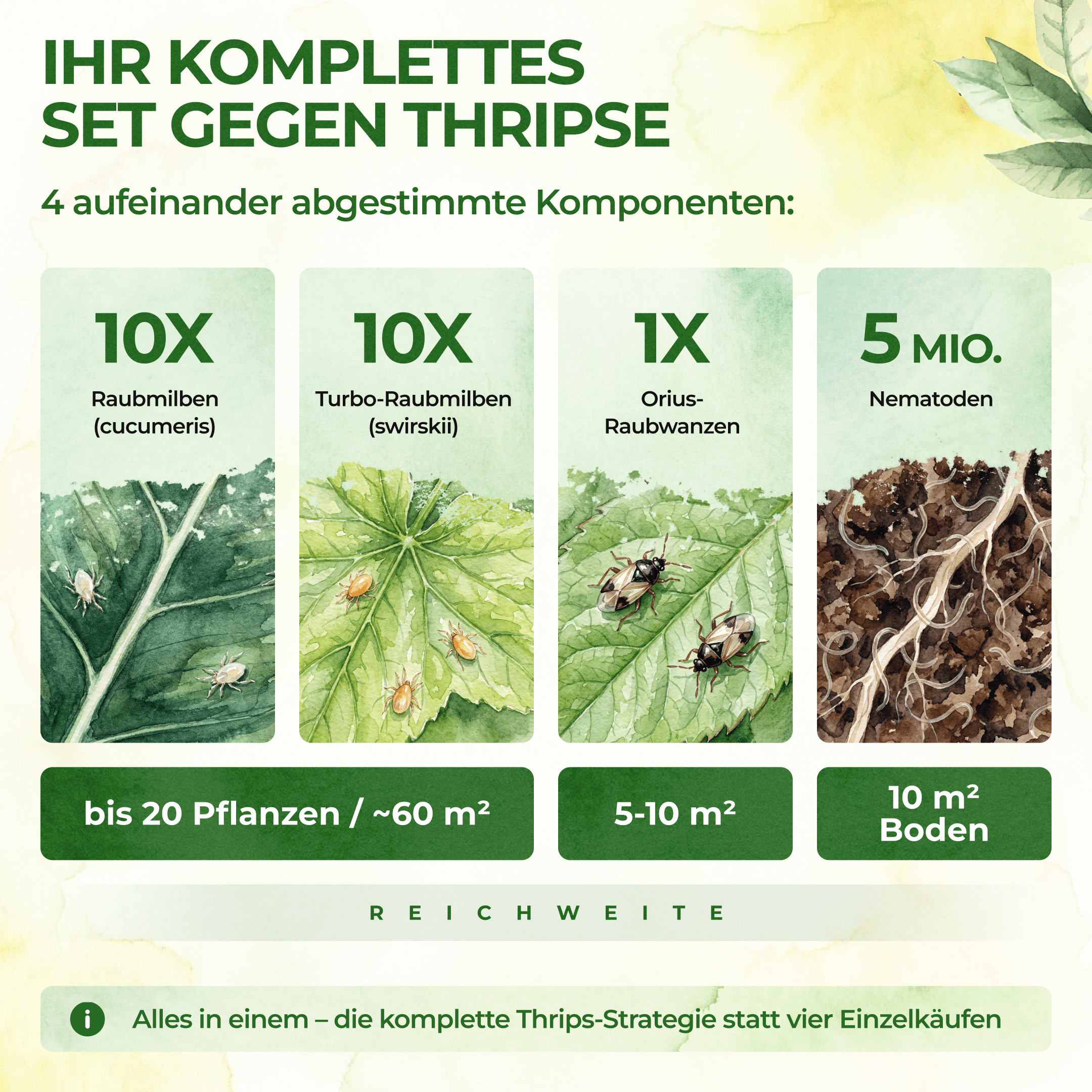 green-guardia-raubmilben-thripse-frei-bundle-n-tzlinge-soforthilfe-set image 4