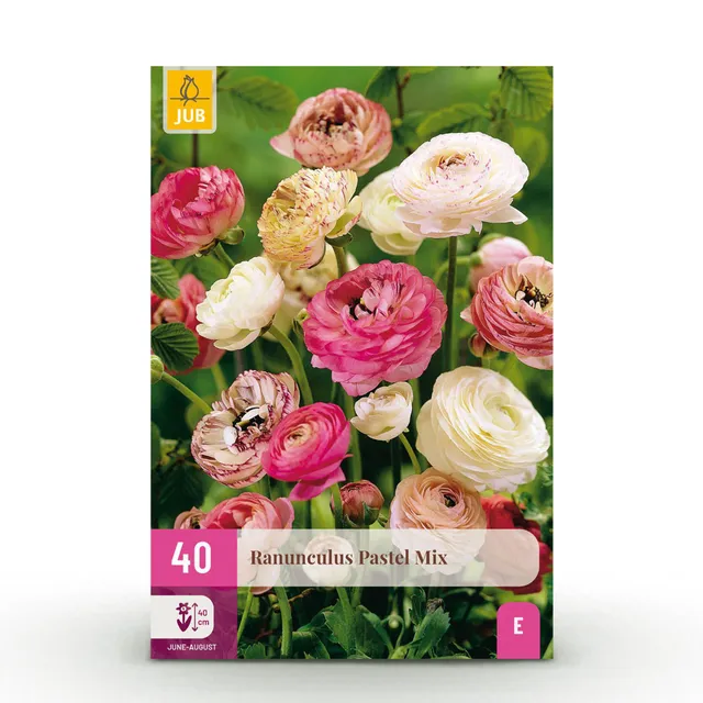 green-guardia-unsere-pflanzen-ranunculus-pastel-mix-blumenzwiebeln-40st image 1