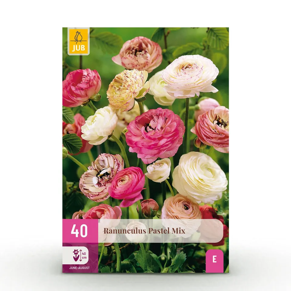 green-guardia-unsere-pflanzen-ranunculus-pastel-mix-blumenzwiebeln-40st image 1