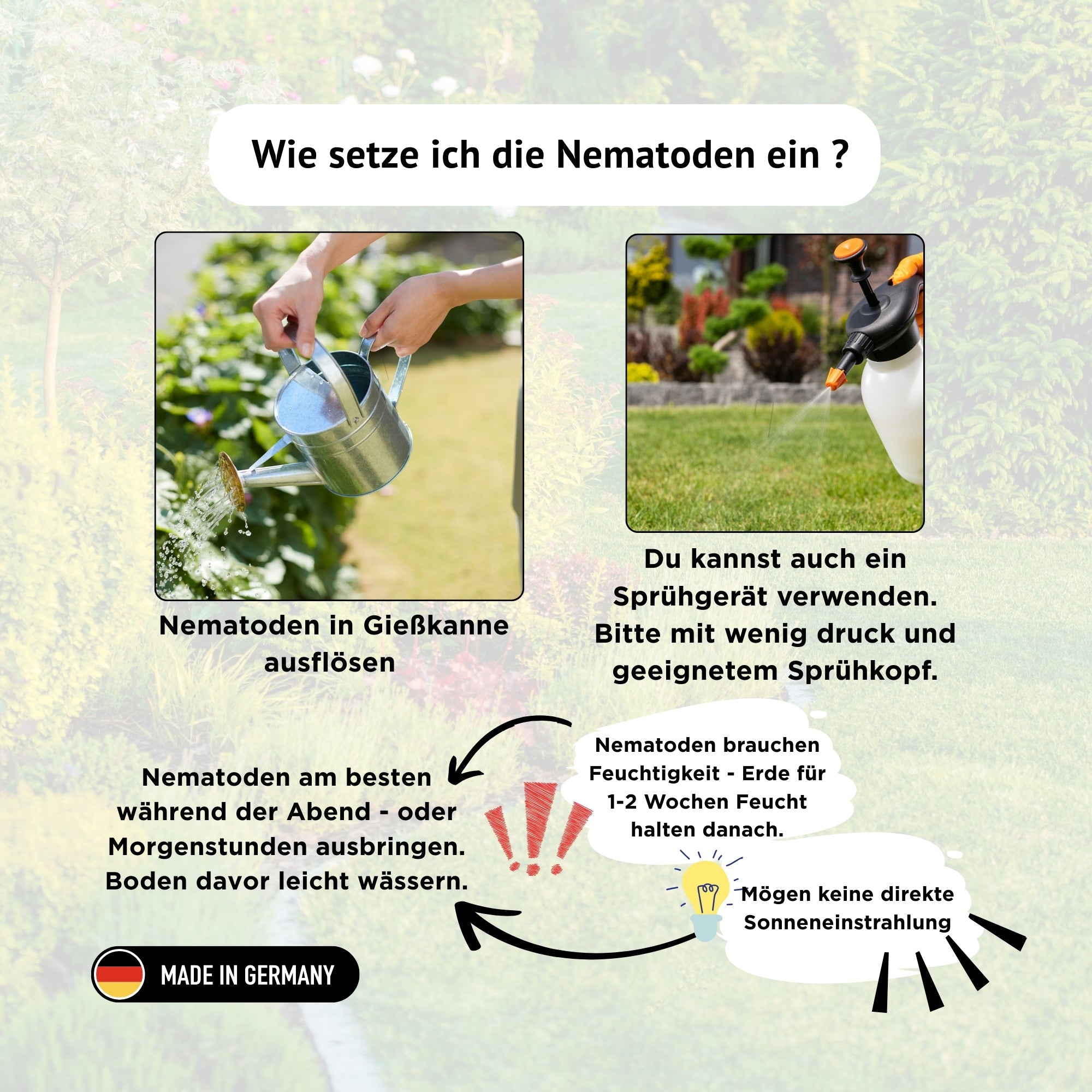 fairyfly-sf-nematoden-trauerm-cken-1-mio-f-r-10-pflanzen image 4
